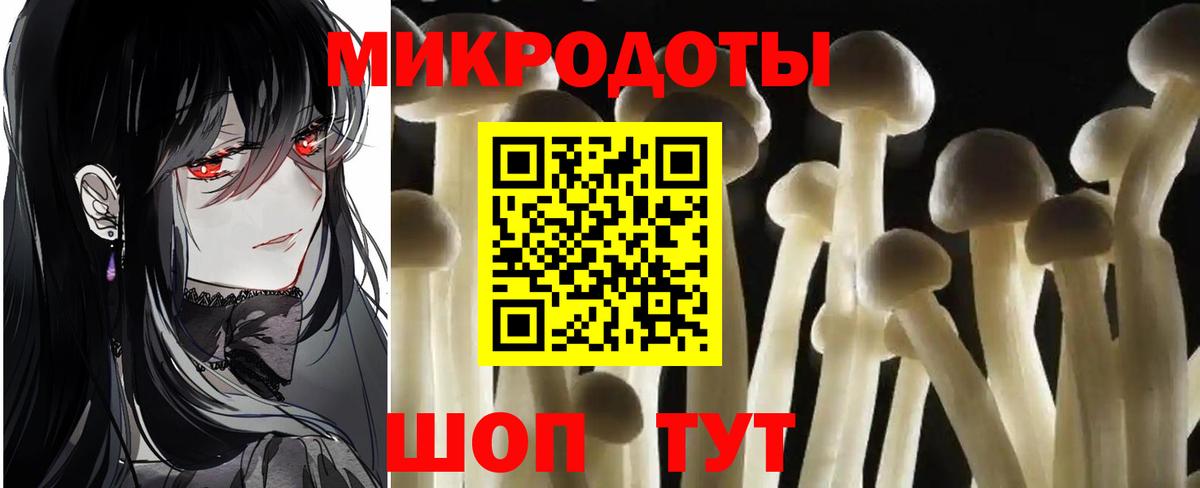 Галлюциногенные грибы MAGIC MUSHROOMS  Псилоцибиновые грибы ЛСД  Вход с VPN  хочу наркоту  Курчалой 