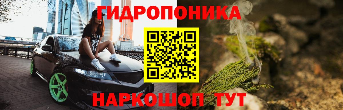 Канабис тримм Курчалой